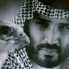 user19195901871930