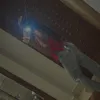 fw_tutii