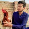 husnainali3657
