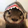ben_.itoshi