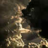hshiu7