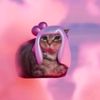 andrea.cat.pop