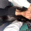 rajina_darlami