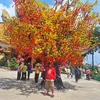 monhon_217