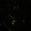 usernameally888