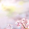 florddurazno