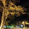 ruken_entraimente