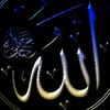 ibrahim.hamza81