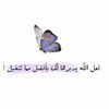 haneen_950