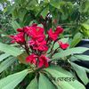 md.yousuf3926