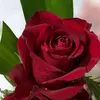 user9493211706111