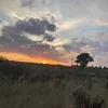 _thomas_24_