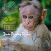 greasemonkeyradio
