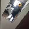 _francois_17