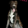 patty36361
