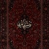 user9196161317095
