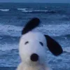bluberrypienow