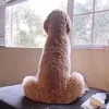 jefikgwqqij