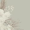 norah_8911