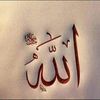 user612845132221