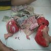 chtrnminh6