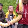 riva.mutiara