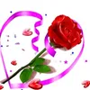 chieubt.huynh