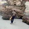 jinolar8
