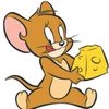 jerrycooljerry6