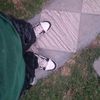 desconocido_4.7.1.7
