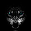 whoolf_art