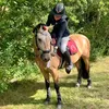 equi_filippa2