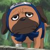 gojame_007