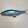 sakutaro_0227