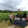 msyukronnasution