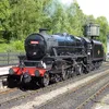 The Train Fan