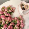 fofo_1332