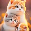 cats59614