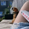 secret_b00ktok