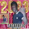 sagaraflow34