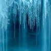 kimlyproducer1