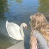 gqvlajk