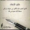 user29527849048774