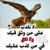user9655001458538