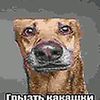 zigas_862