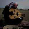 taha275845