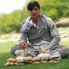 shaidullahmosfar