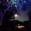 angelito_del_cielo_22