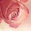yasmen0640