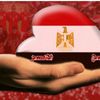 sherif.hosny266